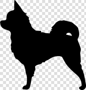 Long haired Chihuahua Pomeranian Papillon Dog Clip   Long Haired Chihuahua Vector  HD Png Download