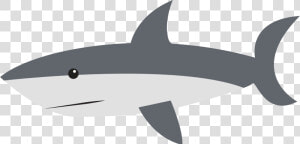 Shark Cartoon Drawing Clip Art   Cartoon Shark Transparent Background  HD Png Download
