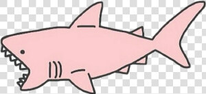 1024 X 471 1 0   Pink Shark Transparent  HD Png Download
