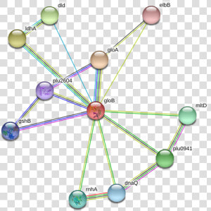 Glob Protein   Circle  HD Png Download