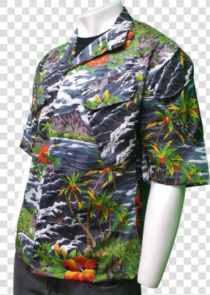 Blouse  HD Png Download