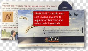 Lyon Case Study   Poster  HD Png Download
