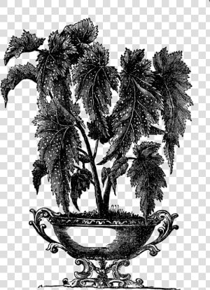 Hu   Victorian Indoor Plant Pot  HD Png Download