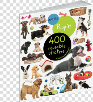 Cover   Eyelike Stickers  Puppies  HD Png Download