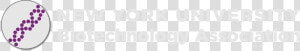 Nyu Png  Transparent Png