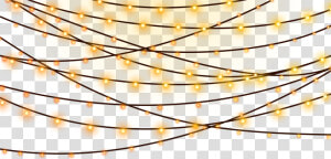 Transparent Background Light Strings Png  Png Download
