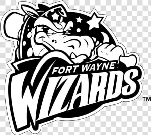 Old Fort Wayne Wizards  HD Png Download