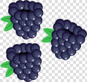 Berry Vector Blackberry   Blackberry Clipart  HD Png Download