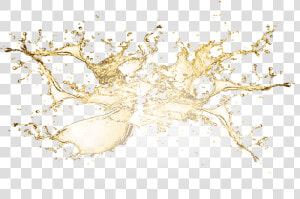 Light Beer Splash Effect Png Download Free Clipart   Darkness  Transparent Png