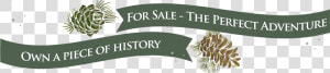 Transparent Sale Ribbon Png   International Year Of Sustainable Energy  Png Download