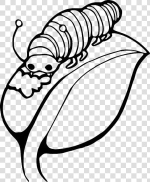 Black  Worm  Outline  Leaf  White  Cartoon  Caterpillar   Draw A Caterpillar On A Leaf  HD Png Download