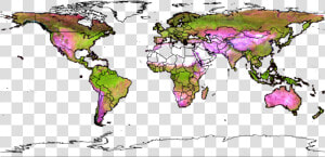 Global Land Analysis  amp  Discovery Group   Ficus Carica Native Range  HD Png Download