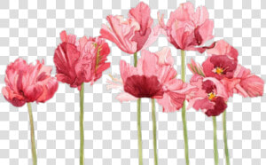 Aesthetic  Flowers  And Overlay Image   Watercolor Flowers Tumblr Png  Transparent Png