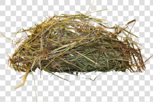 Edible Birds Nest Bird Nest   Birds Nest Transparent  HD Png Download