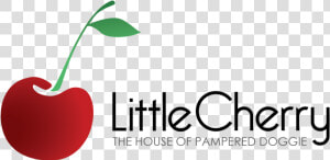 Cherry Log Png   Cherry Logo Png  Transparent Png