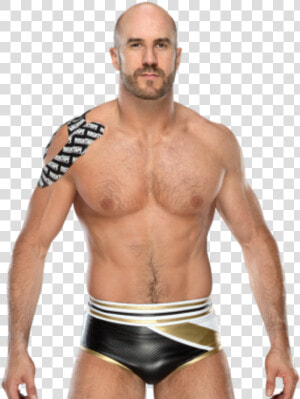 Wwe Women amp    Batista Png  Transparent Png