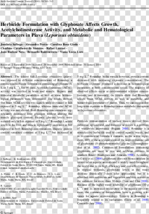 Document  HD Png Download