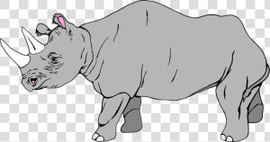 Transparent Rhinoceros Png   Transparent Background Rhino Clipart  Png Download