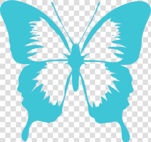 Picture Wings Pinterest   Butterfly Cartoon Black And White  HD Png Download