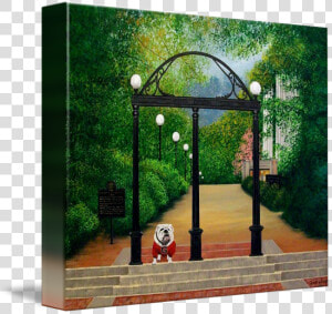 University Of Georgia Arches  HD Png Download