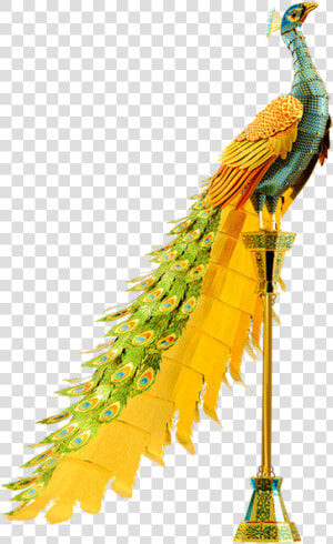 Metal Earth Iconx Peacock  HD Png Download