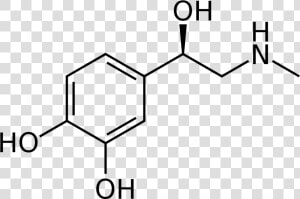 Adrenaline Chemical Structure   R Salbutamol  HD Png Download