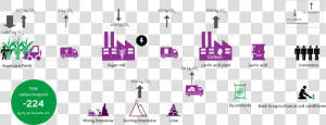 During The Growing Of The Sugar Cane  Co2 Is Absorbed  HD Png Download