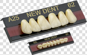 Transparent Dent Png   Smile  Png Download