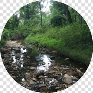 Tributary  HD Png Download