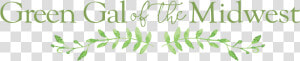 Green Gal Of The Midwest   Calligraphy  HD Png Download
