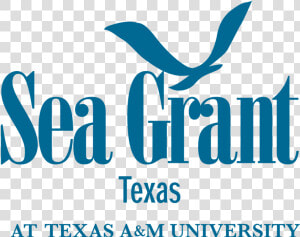Seagrant Attexasam Blue   Texas Sea Grant Logo  HD Png Download