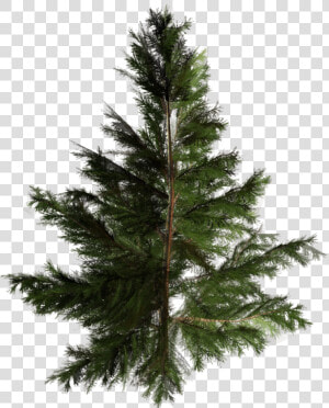 Artificial Christmas Tree Pine Pinales   Tree  HD Png Download