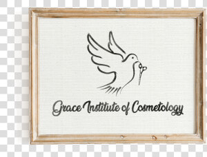Grace Institute Of Cosmetology   Plywood  HD Png Download