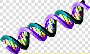 Ds Dna Strand Transparent Clipart   Png Download   Dna Strand Transparent Background  Png Download