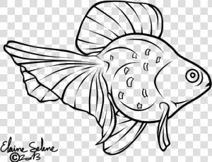 Goldfish Fish Outline Drawings   Png Download   Gold Fish Line Art  Transparent Png