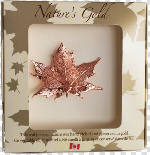 Copper Dipped Maple Leaf  HD Png Download