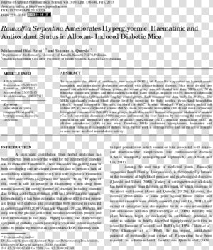 Document  HD Png Download