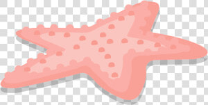 Estrella De Mar Png  Transparent Png