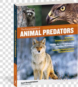 Cover   Animal Encyclopedia  HD Png Download