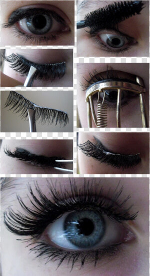 Best False Eyelashes Uk  HD Png Download
