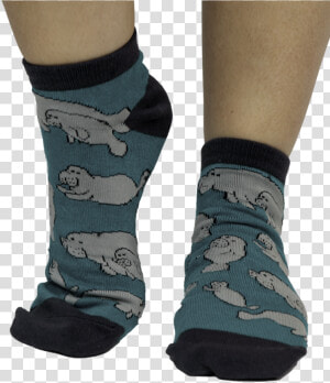 No Wake Zone   Sock  HD Png Download