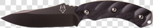 Jackal Png  Transparent Png