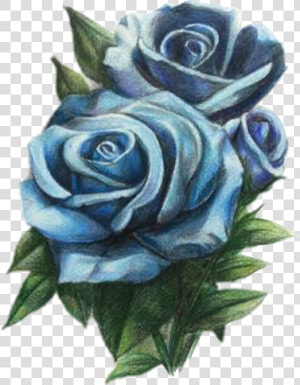  blue  rose  aesthetic  kawaii  goth  sticker  green   Blue Rose  HD Png Download