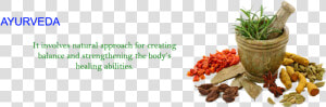 Herbal Png  Transparent Png