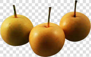 Download Asian Nashi Pear Png Image  Transparent Png