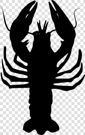 Cancer  Zodiac  Lake  Horoscope  Symbol   Crab  HD Png Download