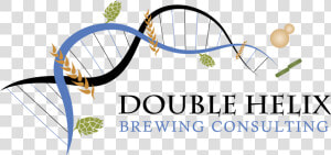 Double Helix Brewing Consulting   Graphic Design  HD Png Download