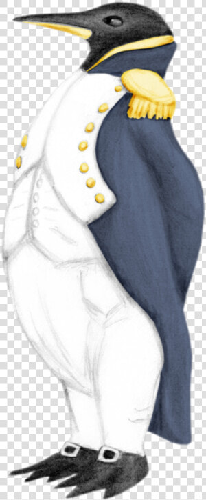 Emperor Penguin Drawing At Getdrawings   Emperor Penguin Drawing  HD Png Download