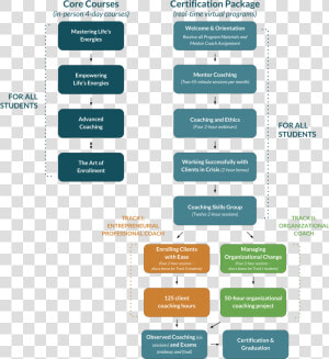 Transparent Flow Chart Png   Flow Chart Of Training  Png Download