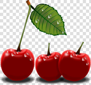 Cherry Cherries Clip Art Cherries Image Image   Cool Cherry Clipart  HD Png Download